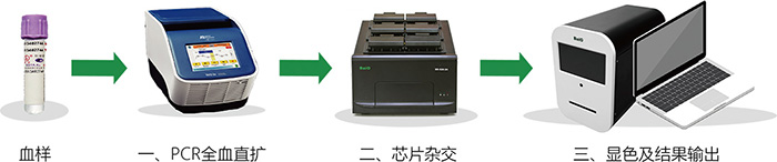 百傲基因檢測(cè)流程